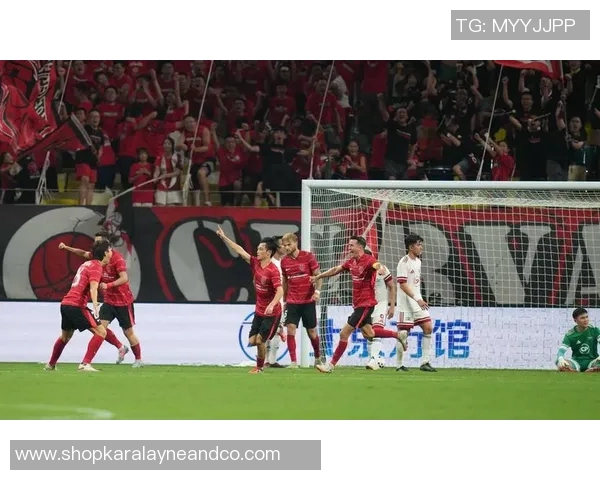 成都足球队近期状态分析与表现评估的全面探讨与数据解读