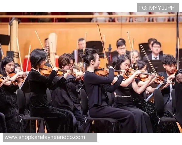 武汉街舞队成员个人能力分析与表现评估研究报告