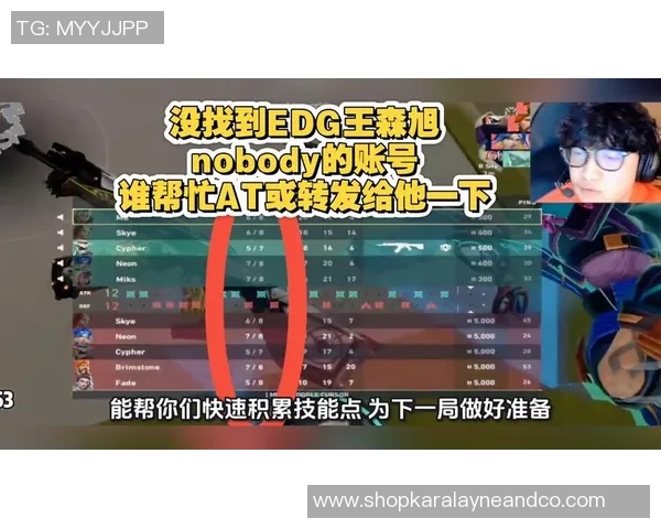 DOTA2战术解析EDG快攻体系的核心策略与实战应用探讨